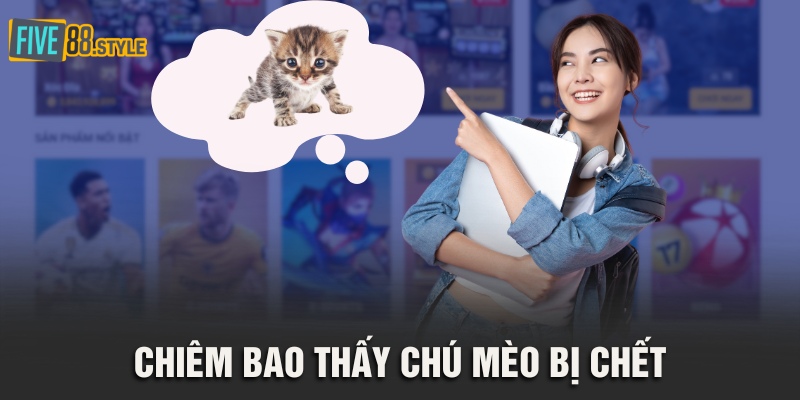 Chiêm bao thấy chú mèo bị chết