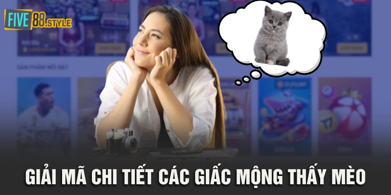 Giải mã chi tiết các giấc mộng thấy mèo